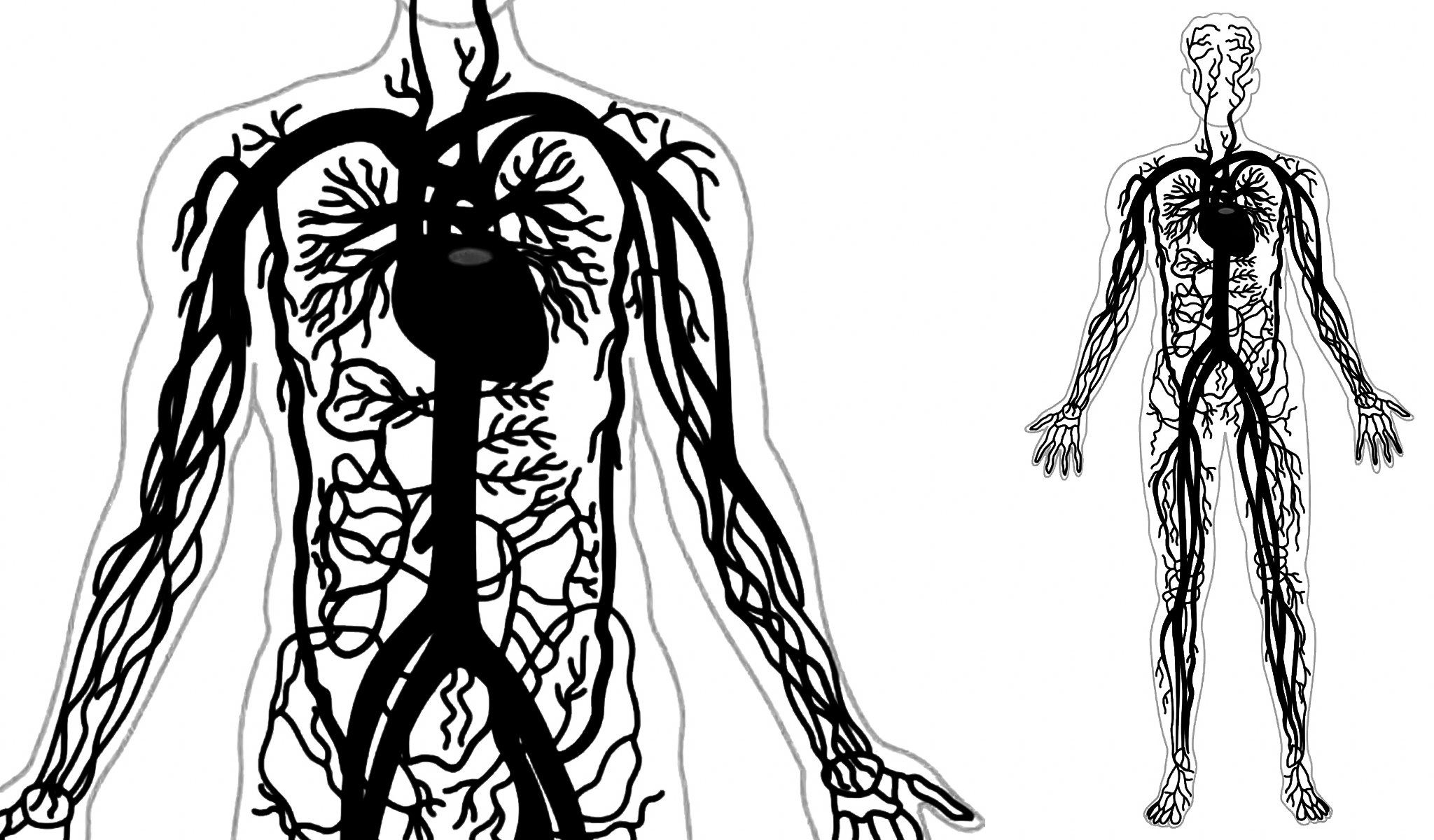 fear-21-century-plague